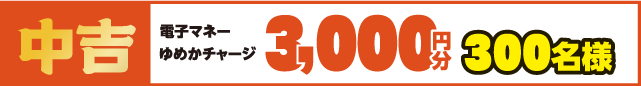 中吉 電子マネーゆめかチャージ3,000円分 300名様