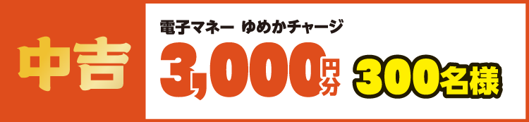 中吉 電子マネーゆめかチャージ3,000円分 300名様