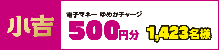 小吉 電子マネーゆめかチャージ500円分 1,423名様