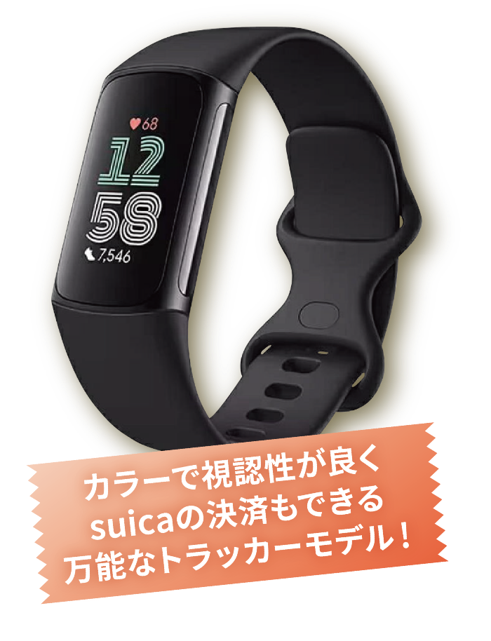 GARMIN 010-02863-80 商品イメージ