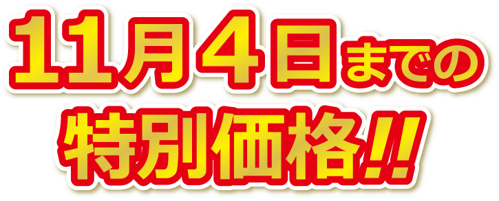 11月4日までの特別価格！